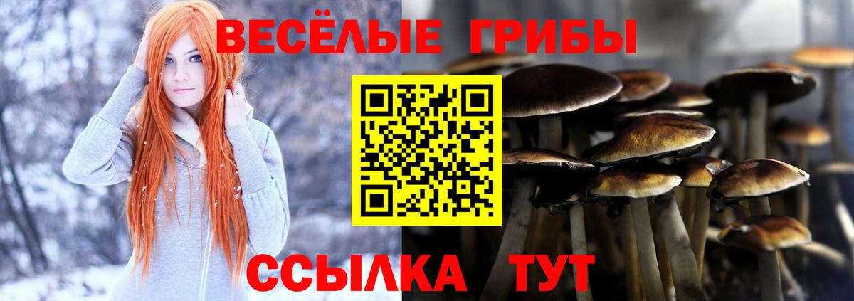 Галлюциногенные грибы Psilocybine cubensis  Вход с VPN  Троицк 